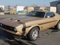 1971 Ford Mustang for sale in Michigan (ID-160971)