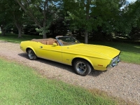 1971 Ford Mustang for sale in Michigan (ID-162630)