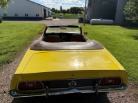 1971 Ford Mustang for sale in Michigan (ID-162630)