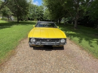 1971 Ford Mustang for sale in Michigan (ID-162630)
