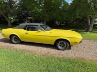 1971 Ford Mustang for sale in Michigan (ID-162630)