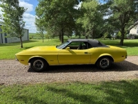 1971 Ford Mustang for sale in Michigan (ID-162630)
