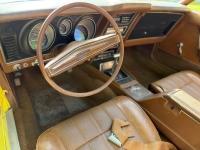 1971 Ford Mustang for sale in Michigan (ID-162630)