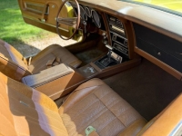 1971 Ford Mustang for sale in Michigan (ID-162630)