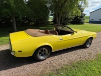 1971 Ford Mustang for sale in Michigan (ID-162630)