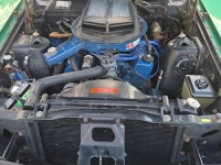 1971 Ford Torino for sale in Michigan (ID-155935)