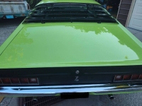 1971 Ford Torino for sale in Michigan (ID-164537)