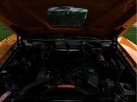 1971 Ford Torino GT for sale in Michigan (ID-114121)