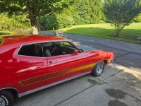 1971 Ford Torino GT for sale in Michigan (ID-118599)