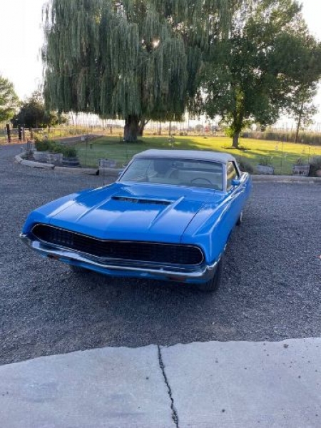 1971 Ford Torino GT for sale in Michigan (ID-120032)