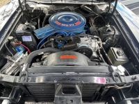1971 Ford Torino GT for sale in Michigan (ID-137876)