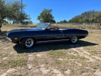 1971 Ford Torino GT for sale in Michigan (ID-137876)