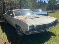 1971 Ford Torino GT for sale in Michigan (ID-141958)