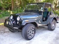 1971 Jeep CJ5 for sale in Michigan (ID-128079)