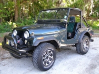 1971 Jeep CJ5 for sale in Michigan (ID-128079)