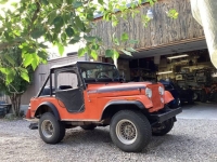1971 Jeep CJ5 for sale in Michigan (ID-136457)