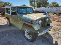 1971 Jeep Jeepster for sale (ID-117706)