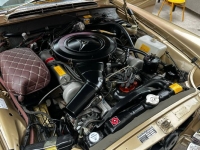 1971 Mercedes-Benz 280SE for sale in Michigan (ID-163709)