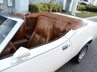 1971 Mercury Cougar for sale in Michigan (ID-156146)