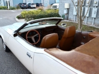 1971 Mercury Cougar for sale in Michigan (ID-156146)