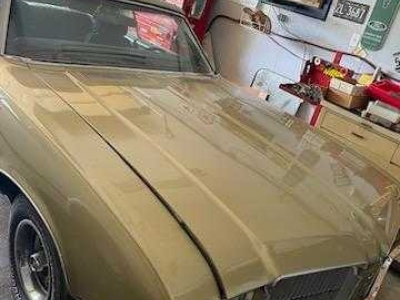 1971 Oldsmobile Cutlass Supreme for sale