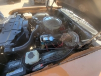 1971 Oldsmobile Cutlass Supreme for sale (ID-120790)