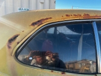 1971 Plymouth Duster for sale in Michigan (ID-128282)