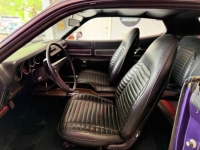 1971 Plymouth Road Runner for sale in Michigan (ID-163367)