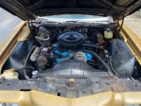 1971 Pontiac Catalina for sale in Michigan (ID-144599)