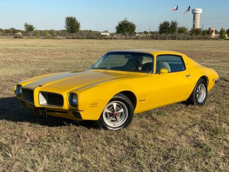 1971 Pontiac Firebird for sale in Michigan (ID-109107)