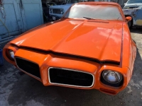 1971 Pontiac Firebird for sale in Michigan (ID-116245)
