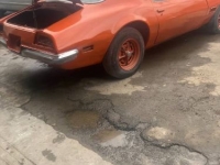 1971 Pontiac Firebird for sale in Michigan (ID-116245)