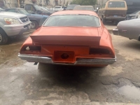 1971 Pontiac Firebird for sale in Michigan (ID-116245)