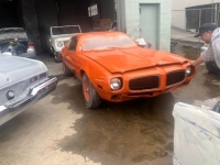 1971 Pontiac Firebird for sale in Michigan (ID-116245)