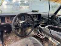 1971 Pontiac Firebird for sale in Michigan (ID-116245)