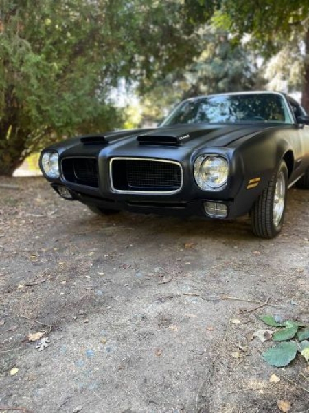 1971 Pontiac Firebird for sale in Michigan (ID-123880)