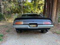 1971 Pontiac Firebird for sale in Michigan (ID-123880)