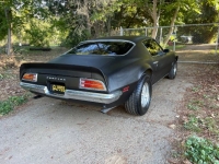 1971 Pontiac Firebird for sale in Michigan (ID-123880)
