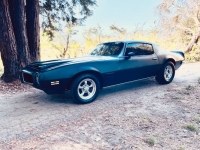 1971 Pontiac Firebird for sale in Michigan (ID-123880)