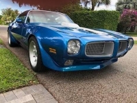1971 Pontiac Firebird for sale in Michigan (ID-125904)