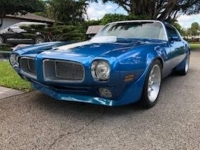 1971 Pontiac Firebird for sale in Michigan (ID-125904)