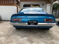 1971 Pontiac Firebird for sale in Michigan (ID-125904)