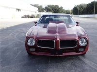 1971 Pontiac Firebird for sale in Michigan (ID-131433)