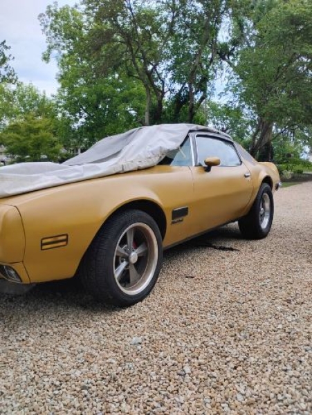 1971 Pontiac Firebird for sale in Michigan (ID-143355)
