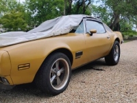 1971 Pontiac Firebird for sale in Michigan (ID-143355)