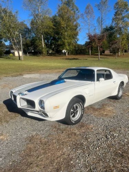 1971 Pontiac Firebird for sale in Michigan (ID-145683)