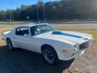 1971 Pontiac Firebird for sale in Michigan (ID-145683)