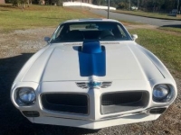 1971 Pontiac Firebird for sale in Michigan (ID-145683)