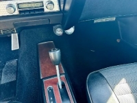 1971 Pontiac GTO for sale in Michigan (ID-126838)