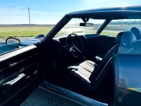 1971 Pontiac GTO for sale in Michigan (ID-126838)